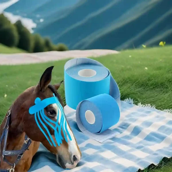 Equine Kinesiology Muscle Tape